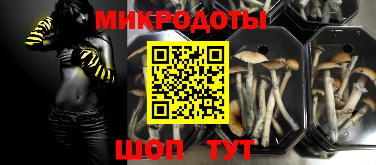 Псилоцибиновые грибы Psilocybine cubensis  Вход с VPN  Семёнов 